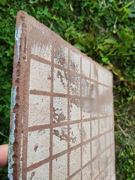 Soubor:Holy, obrousena.jpg